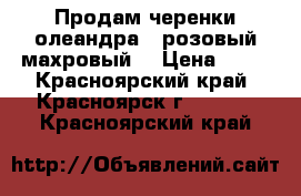 Продам черенки олеандра ( розовый,махровый) › Цена ­ 70 - Красноярский край, Красноярск г.  »    . Красноярский край